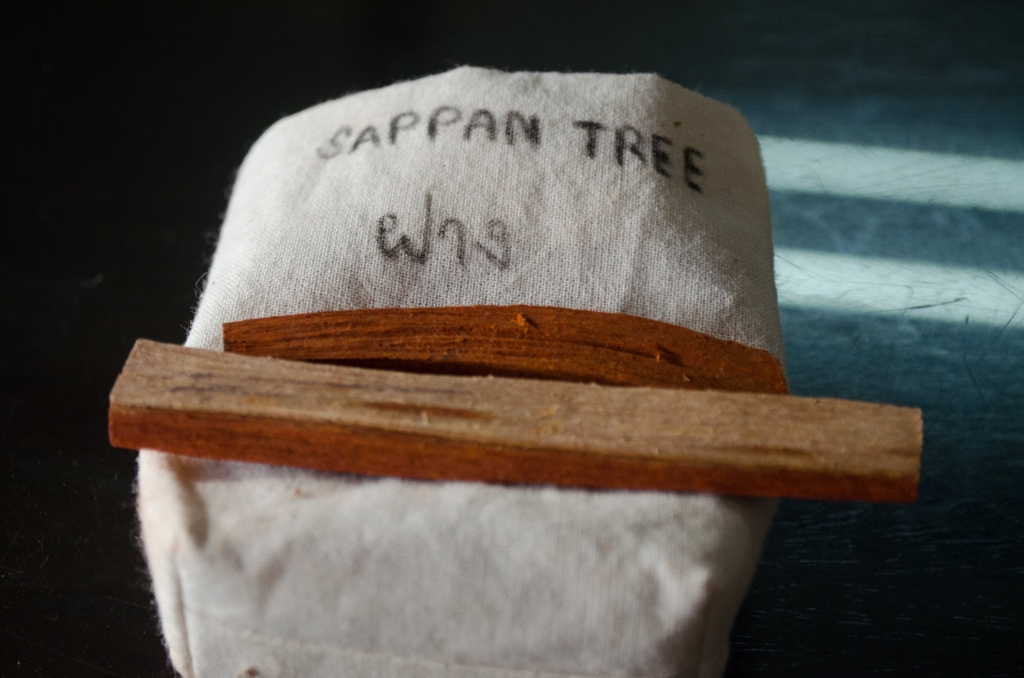 Sappan-tree